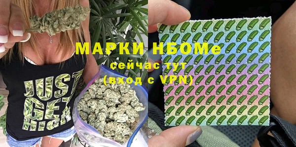 гашик Ростов