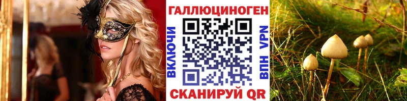 Галлюциногенные грибы Cubensis  Купить закладки  Темрюк 